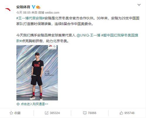 安踏最新爆料消息,揭秘品牌创新与未来发展战略  第3张